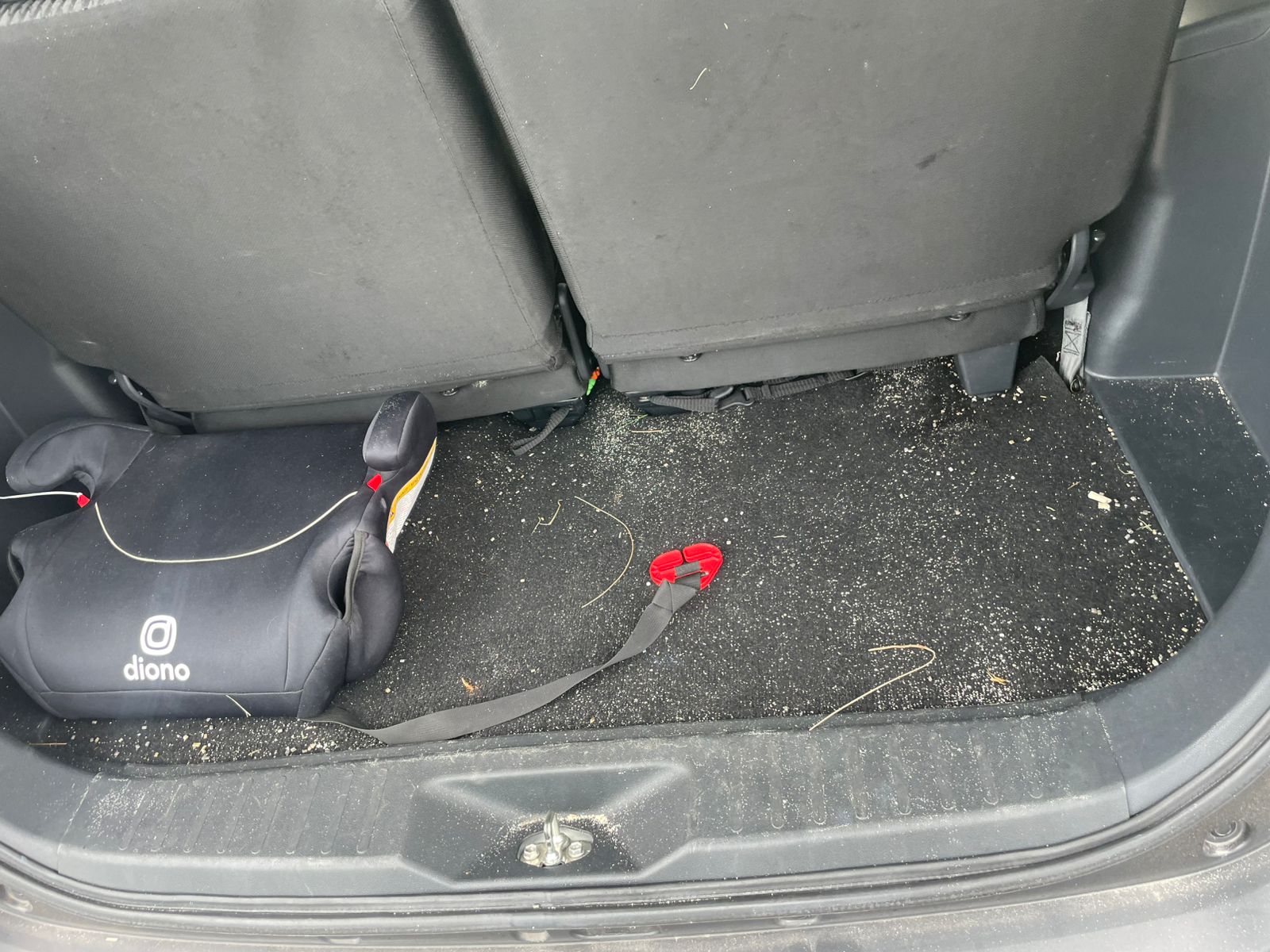 Car cargo area carpet — before cleaning